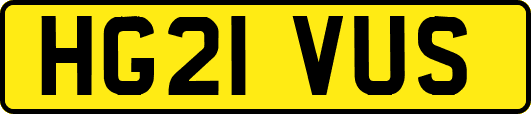 HG21VUS