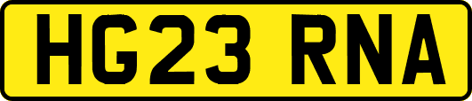 HG23RNA