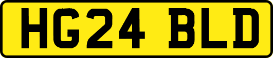 HG24BLD