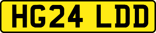 HG24LDD