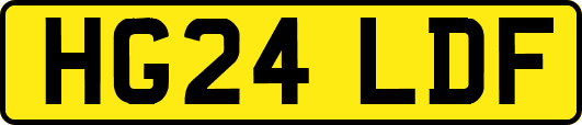 HG24LDF