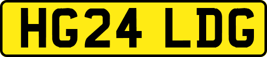 HG24LDG