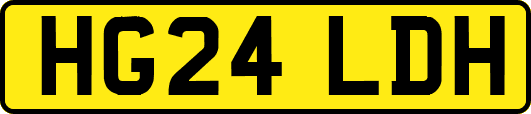 HG24LDH
