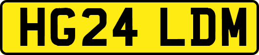 HG24LDM