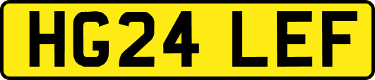 HG24LEF
