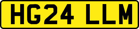 HG24LLM
