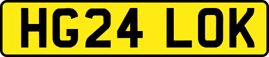 HG24LOK