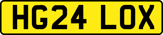 HG24LOX