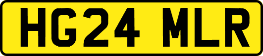 HG24MLR