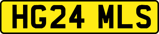HG24MLS