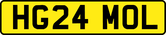 HG24MOL