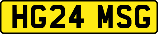 HG24MSG
