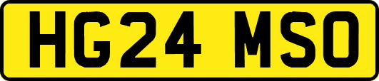 HG24MSO