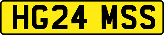 HG24MSS