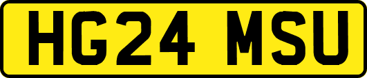 HG24MSU