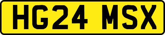 HG24MSX