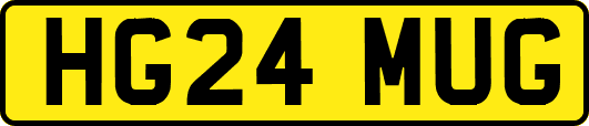 HG24MUG
