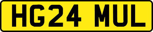 HG24MUL