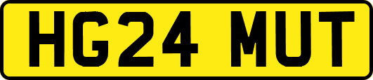 HG24MUT