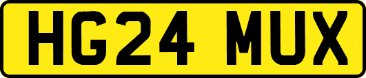 HG24MUX