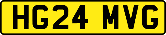 HG24MVG