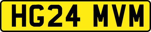 HG24MVM