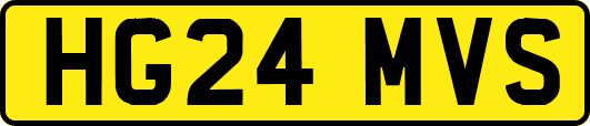 HG24MVS