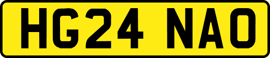 HG24NAO