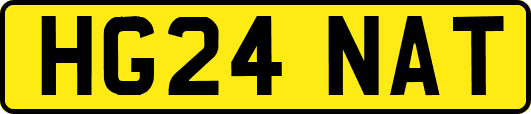 HG24NAT