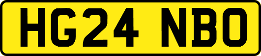 HG24NBO