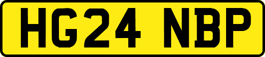 HG24NBP
