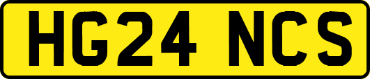 HG24NCS
