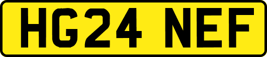 HG24NEF