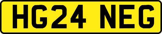 HG24NEG