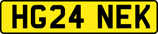 HG24NEK