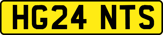 HG24NTS