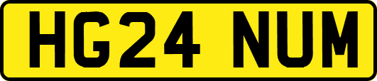 HG24NUM