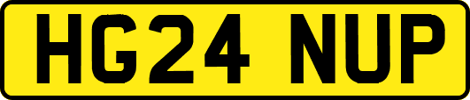 HG24NUP