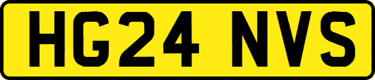 HG24NVS