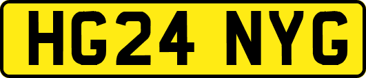 HG24NYG