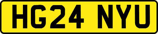 HG24NYU
