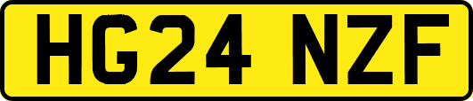 HG24NZF