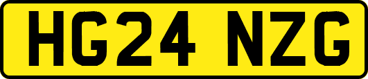 HG24NZG