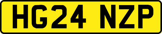 HG24NZP