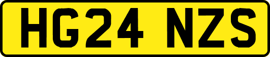 HG24NZS
