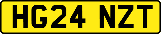 HG24NZT