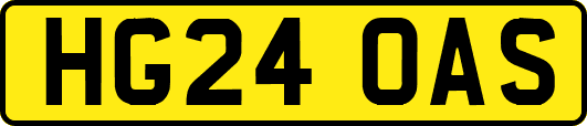 HG24OAS