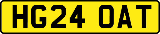 HG24OAT