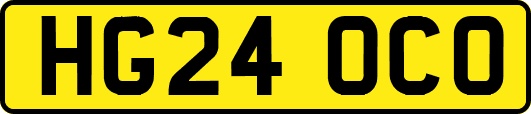 HG24OCO