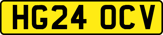 HG24OCV